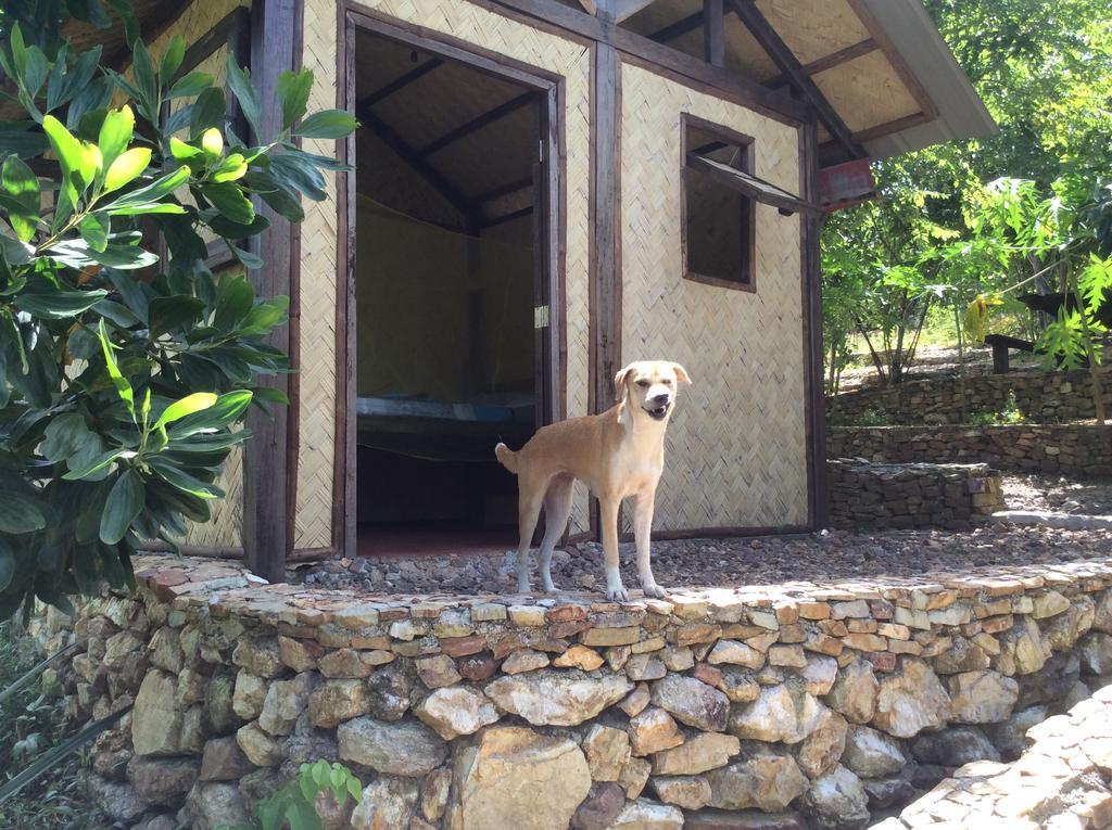 Busuanga Backpackers Vandrarhem Concepcion  Rum bild