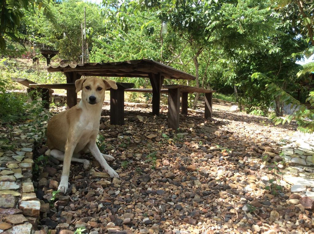 Busuanga Backpackers Vandrarhem Concepcion  Exteriör bild