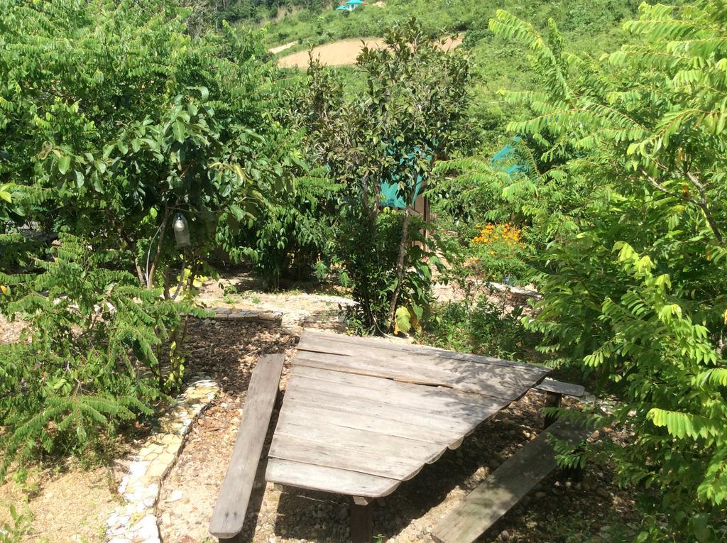Busuanga Backpackers Vandrarhem Concepcion  Exteriör bild