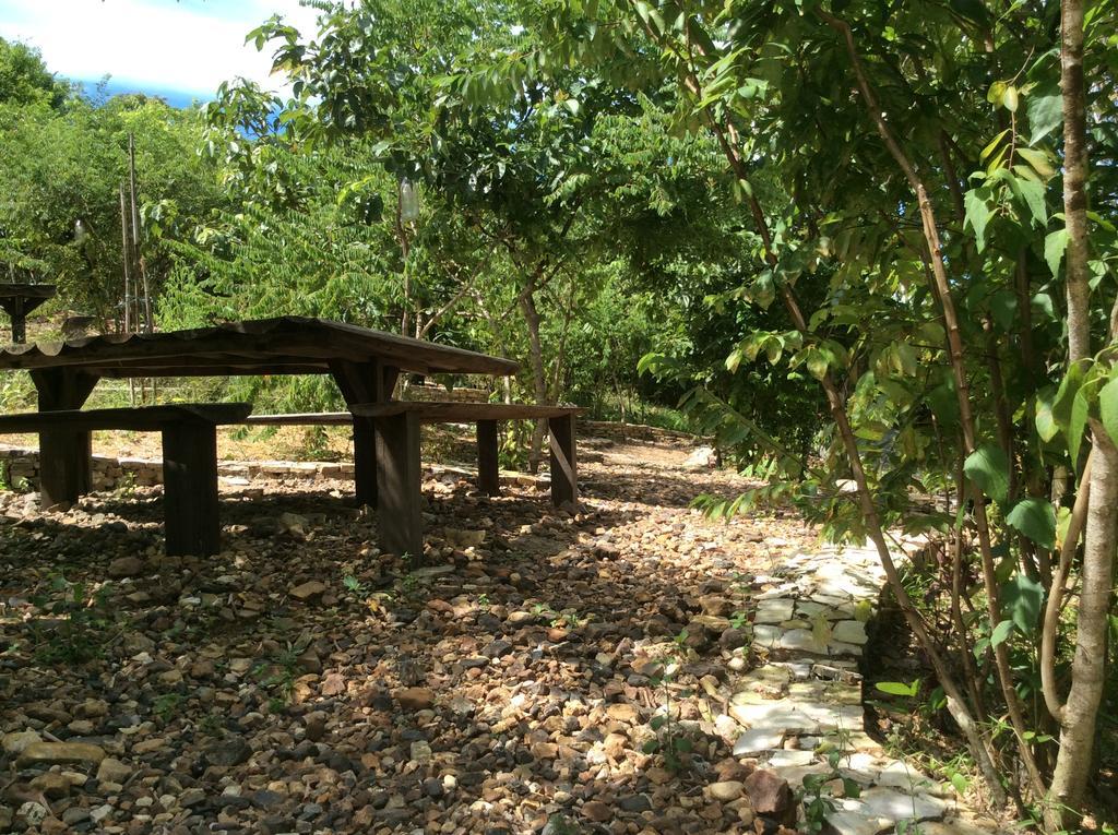 Busuanga Backpackers Vandrarhem Concepcion  Exteriör bild