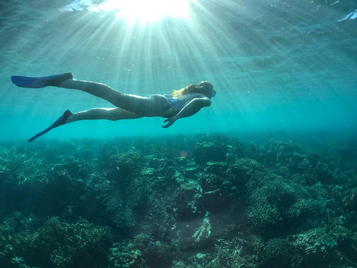 Busuanga Backpackers Vandrarhem Concepcion  Exteriör bild
