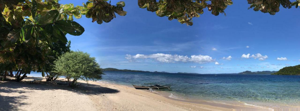 Busuanga Backpackers Vandrarhem Concepcion  Exteriör bild