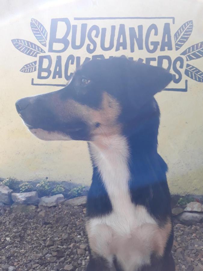 Busuanga Backpackers Vandrarhem Concepcion  Exteriör bild